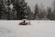 20221116_065846.jpg