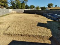 Shop build site.jpg