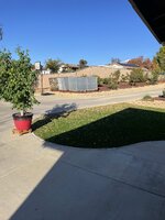 IMG_4926.jpg