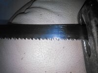 35770147375_41326d9bea_b.jpg
