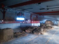 30971864162_b59750909f_b.jpg