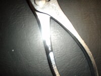 P1010004.JPG
