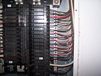 100_9881.JPG