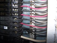 100_9883.JPG