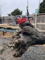 E15EC52C-D23D-4AEF-944A-3285BF8CF3FD.jpeg