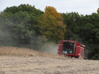 45408047652_92205d6f93_b.jpg