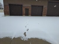snow1.jpg snow1.jpg