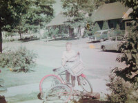 First Bike Stripped Down.jpg First Bike Stripped Down.jpg