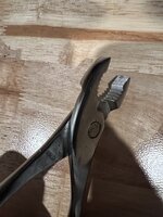 IMG_8490.jpeg IMG_8490.jpeg