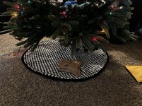 IMG_0205.jpg