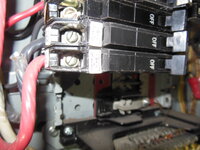 DSCN2011.JPG