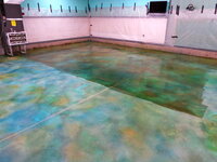 DSC00524.jpg