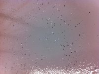 photo(1).jpg
