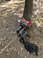 1 winch on tree.jpg