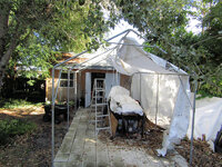 2023-01-10 Canopy Return 1.jpg