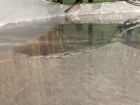 IMG_0695.jpeg IMG_0695.jpeg