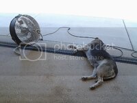 0911161212_zpsiosf7cke.jpg 0911161212_zpsiosf7cke.jpg
