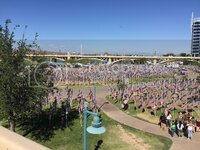 247A6CD7-A5F8-40D2-9467-4C31A13B7795.jpg 247A6CD7-A5F8-40D2-9467-4C31A13B7795.jpg