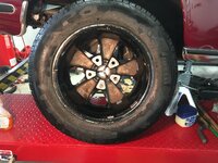 IMG_3945[1].JPG