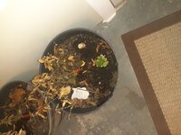 20230115_182917.jpg