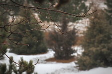 IMG_4710copy.jpg