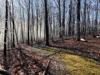 IMG_5798.JPG