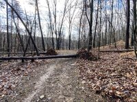 IMG_5810.JPG