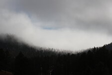 IMG_4732.JPG