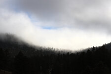 IMG_4732copy.jpg
