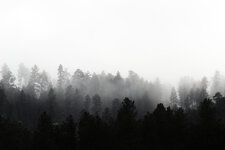 IMG_4728copy.jpg
