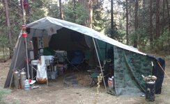 Canopy 2.jpg