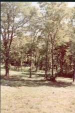 Scan265.jpg