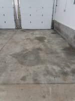 20181031_070624.jpg