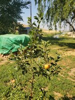 20220902_142341.jpg