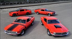 Boss Quartet 6.JPG