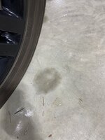 IMG_3990.JPEG