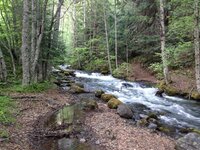 IMG_1348.JPG