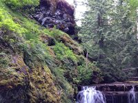 IMG_1352.JPG