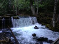 IMG_1349.JPG