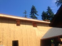 IMG_1586.JPG