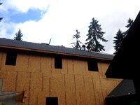 IMG_1616.JPG IMG_1616.JPG