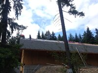 IMG_1618.JPG IMG_1618.JPG