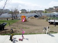 Backyard 001.jpg