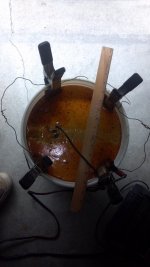 electrolysis bath.jpg
