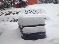 image-2.jpg