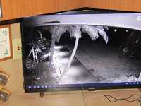Night Vision.jpg