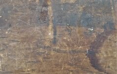 20230209_091645.jpg