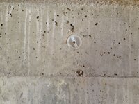 IMG_1887.jpg