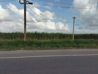52687460120_acd87daea0_b.jpg