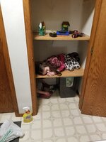 20230214_184819.jpg 20230214_184819.jpg